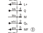 DT20-P214B