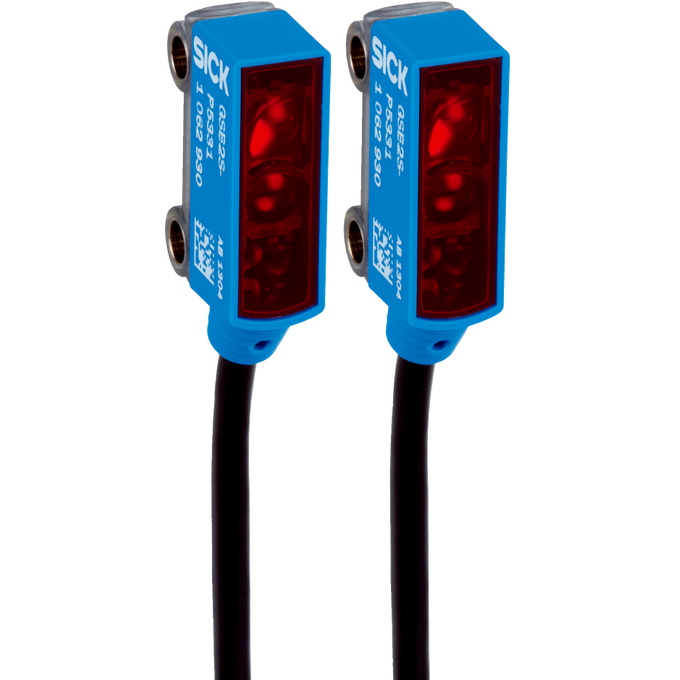 GSE2S-P5311