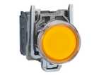 XB4BW3565
