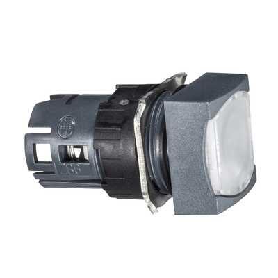 ZB6CF1