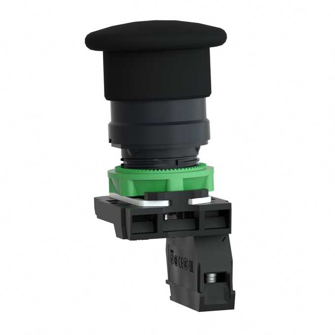 Przycisk sterowniczy XB5AC21