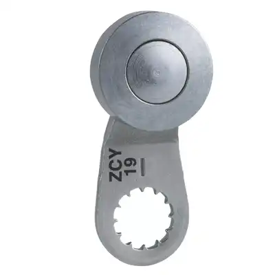 ZCY19
